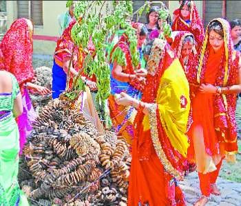 Holi will celebrate with abir and colors