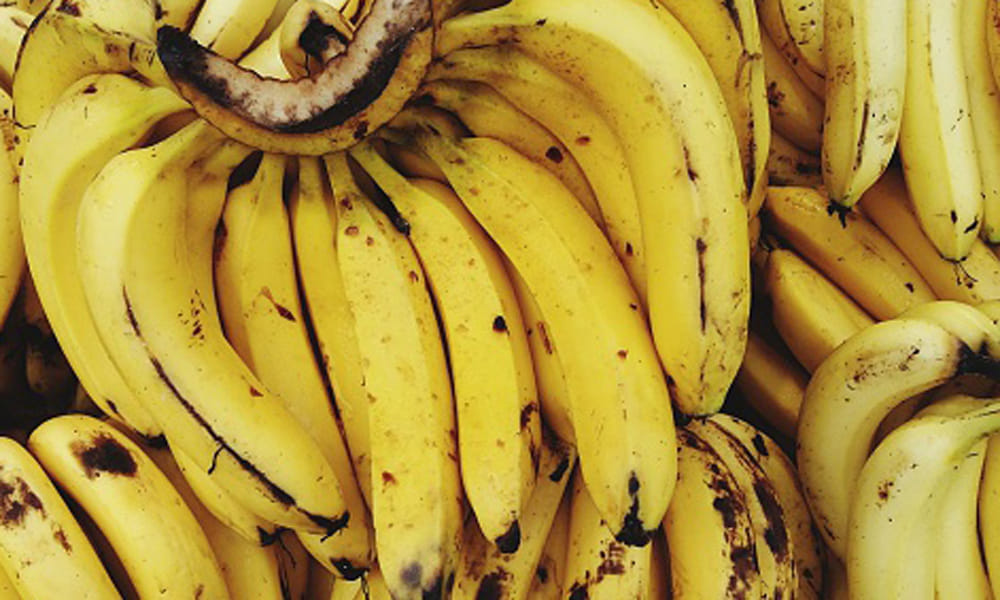 healthy food for upset stomach