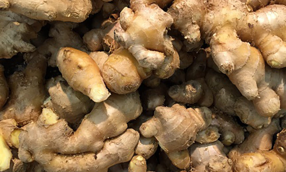healthy food for upset stomach
