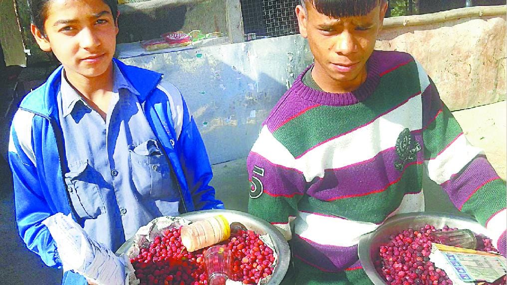 Selling kafal