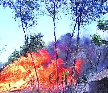 29 home gutted by fire in five villages