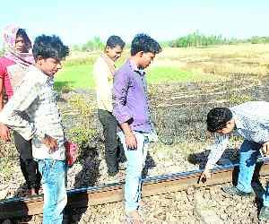 rail track, burned crop