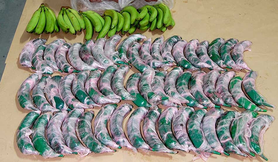 Bizarre smuggling attempts that went wrong