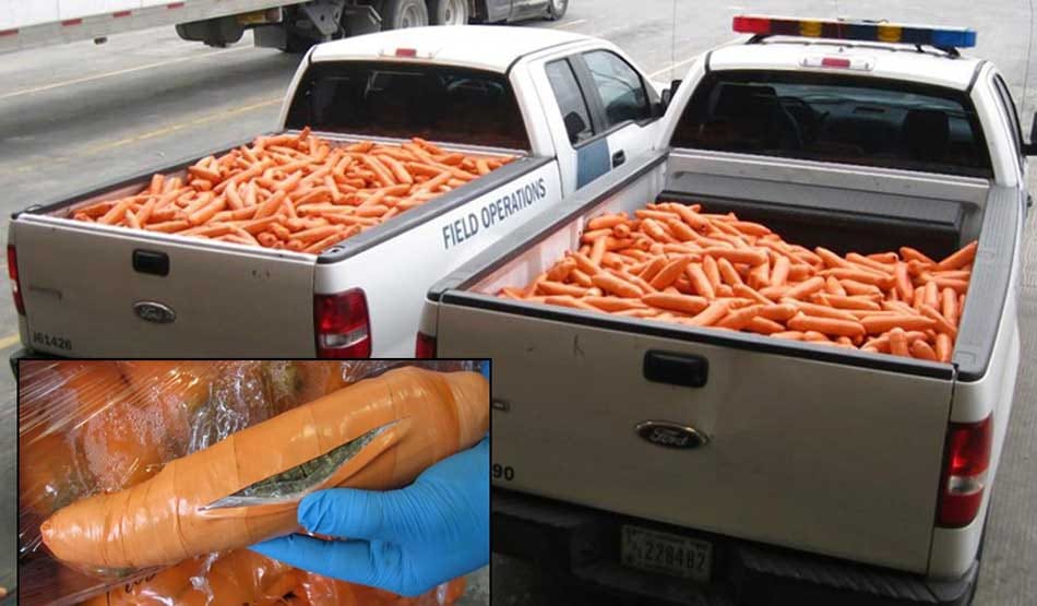 Bizarre smuggling attempts that went wrong