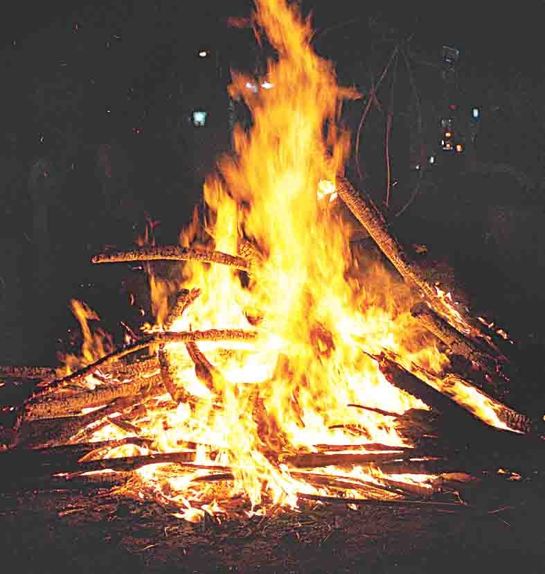 Holi 2021: Falan Monu Panda Will Run From Holi At 29 March