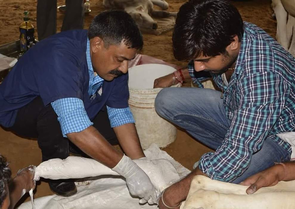 police horse shaktimaan matter
