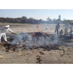 bhiwani news, holi, hooligans, day, tension
