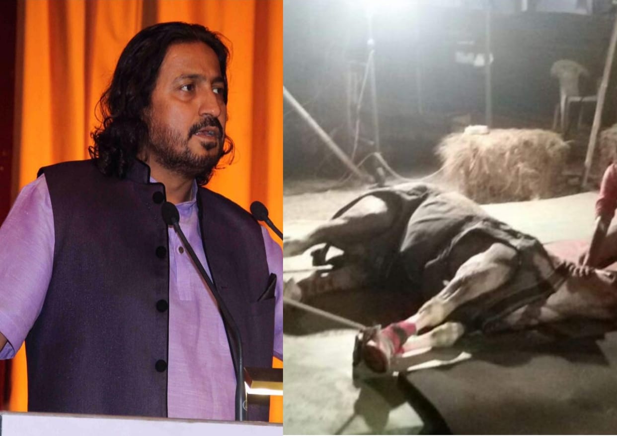 vinod kapri making film on police horse shaktimaan.