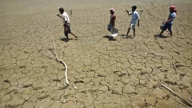 Maharashtra govt declares drought in 12,000 Vidarbha villages