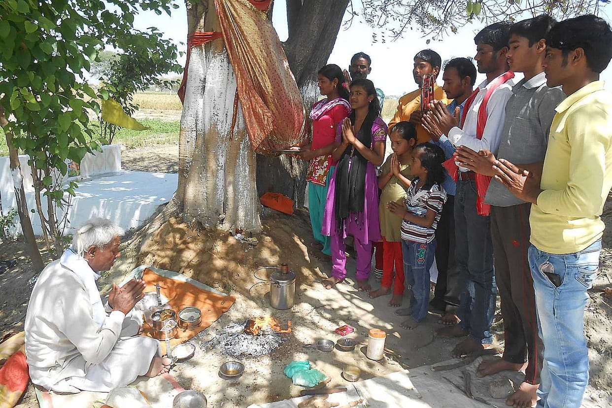 Gayatri Yajna worship of trees to put in offerings.Child