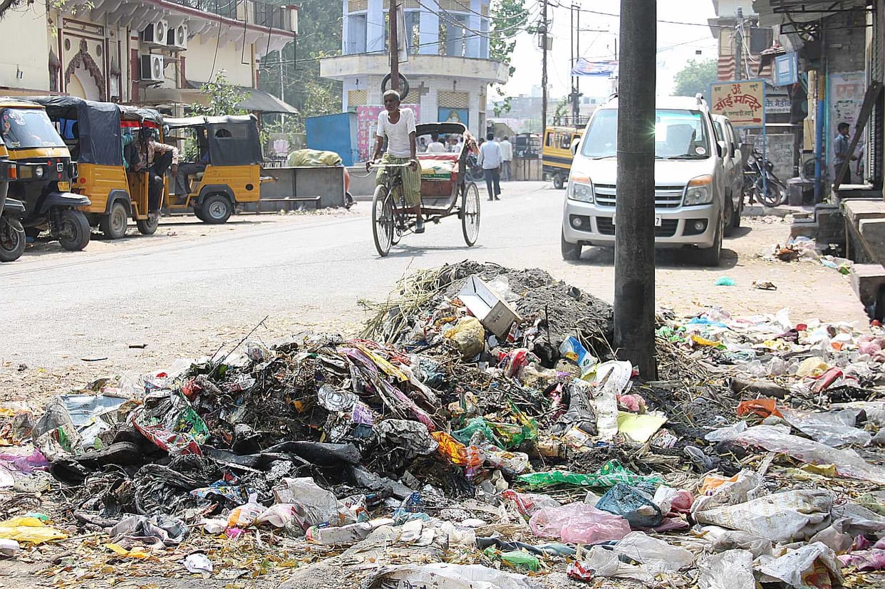 Holly in the town Mounted places garbage dump