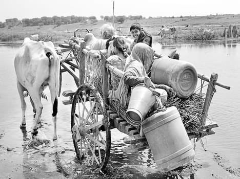  Poor hand pumps in the district in 1882