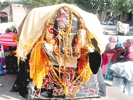 Odhakr rotated blanket 'elephant'