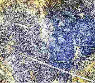 A high tension wire broken, crop were changed in ash