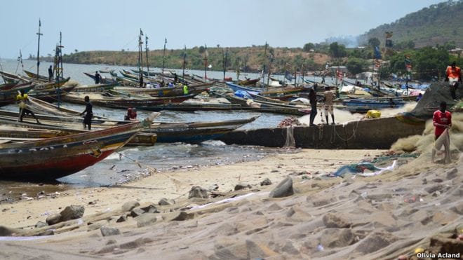 fishing industry in sierra leone