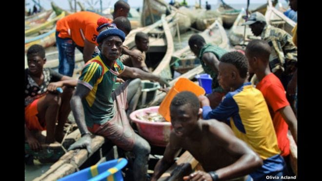fishing industry in sierra leone
