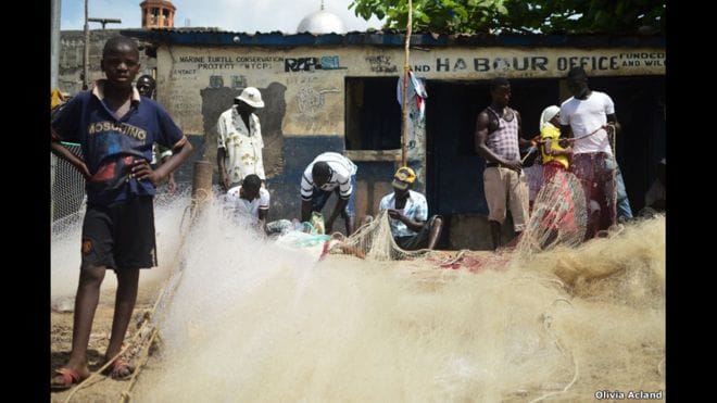 fishing industry in sierra leone