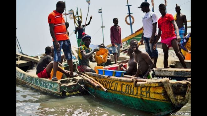 fishing industry in sierra leone