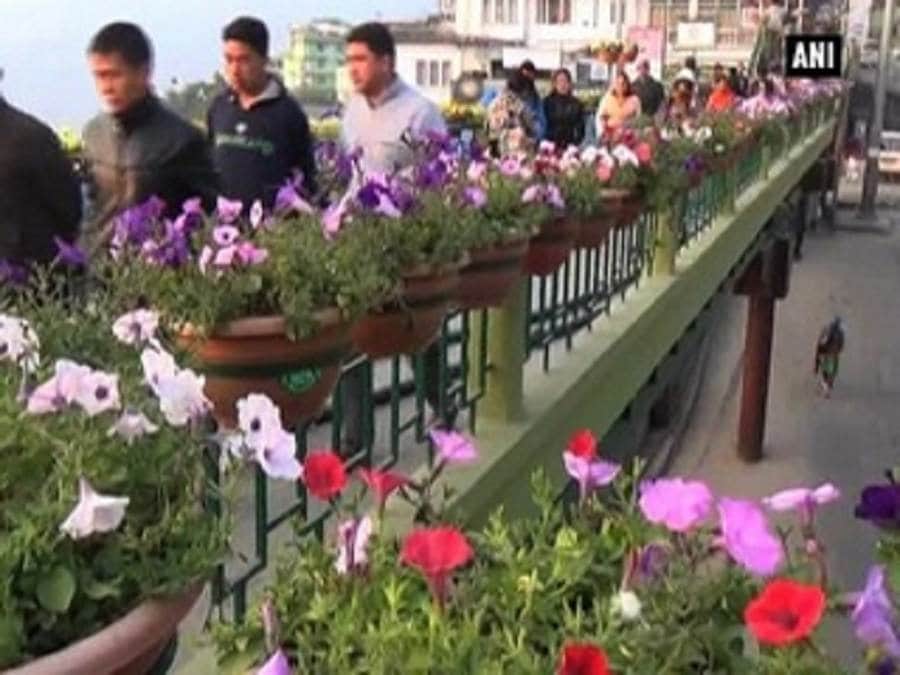 फूलों की खेती