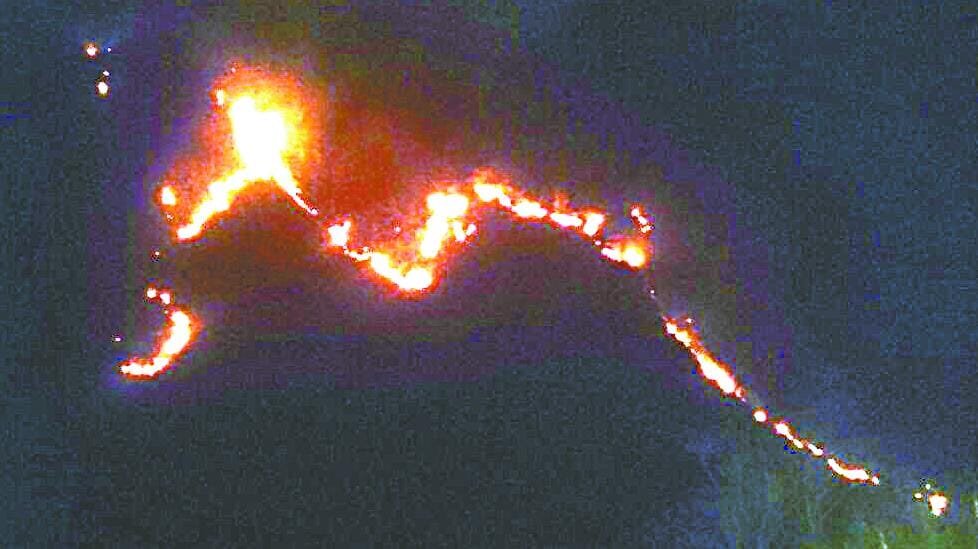 Many of the district forest fires