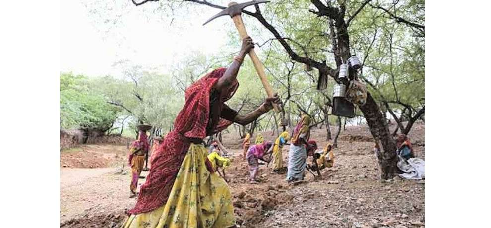 mnrega status in himachal pradesh