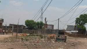 Nehru Nagar locality neglected
