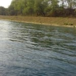 Yamuna satluj link