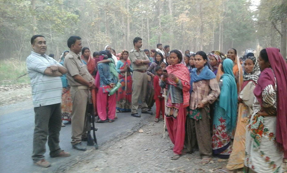Dudhwa Tharu bring wood from the forest and the altercation Vnkarmion