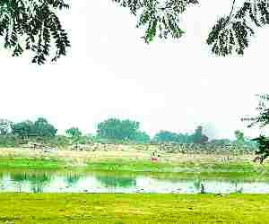 Farmers afraid of Changing weather.