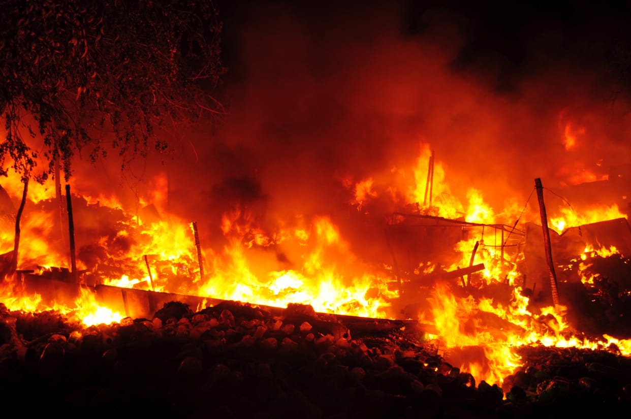 forest fires around the cowshed