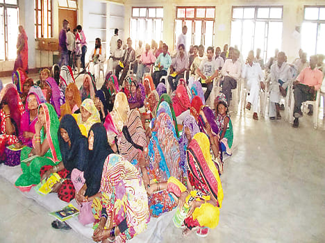 Many funds for animal husbandry in progress
