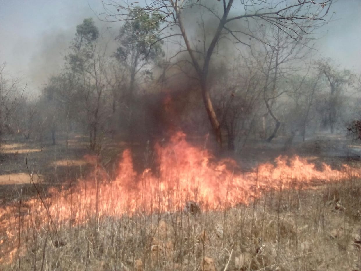 High tension line fell, wheat crop ashes