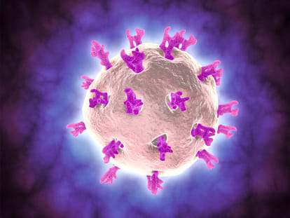 starting of rota virus vaccination in india under immunization program