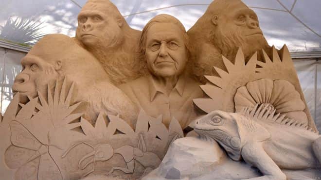 sandworld sand sculpture festival gallery