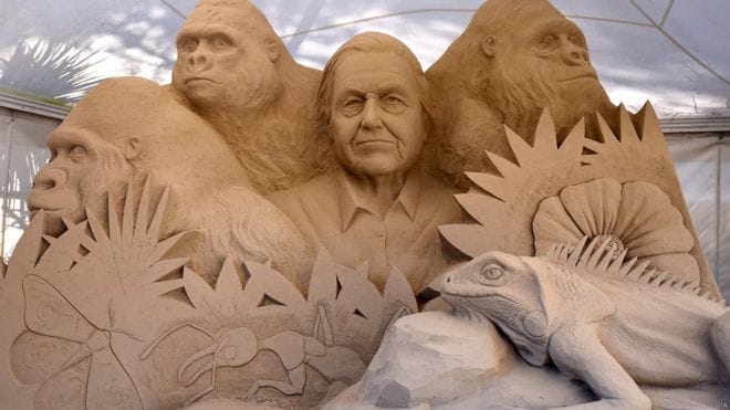 sandworld sand sculpture festival gallery