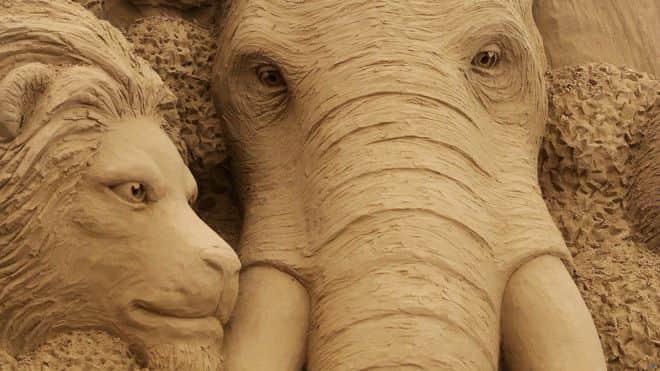 sandworld sand sculpture festival gallery