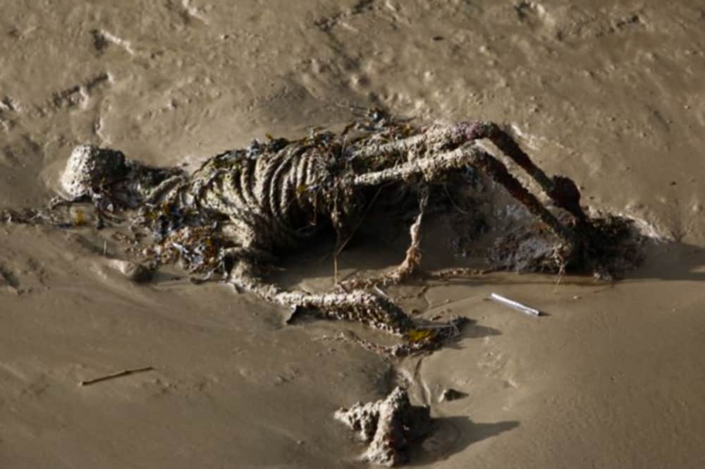 Horrible story of kedarnath disaster