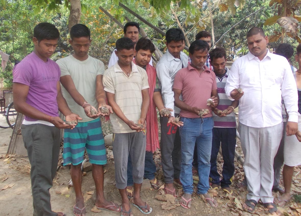 Sparrow killed in Ballia