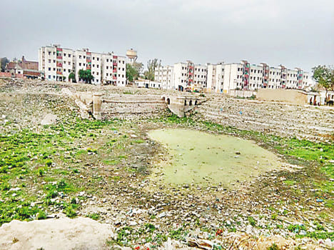 Municipality sleeping sparrow deserted pond