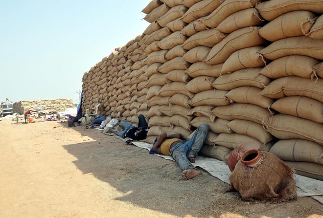 wheat mandi, crime, lalru, mohali, wheat