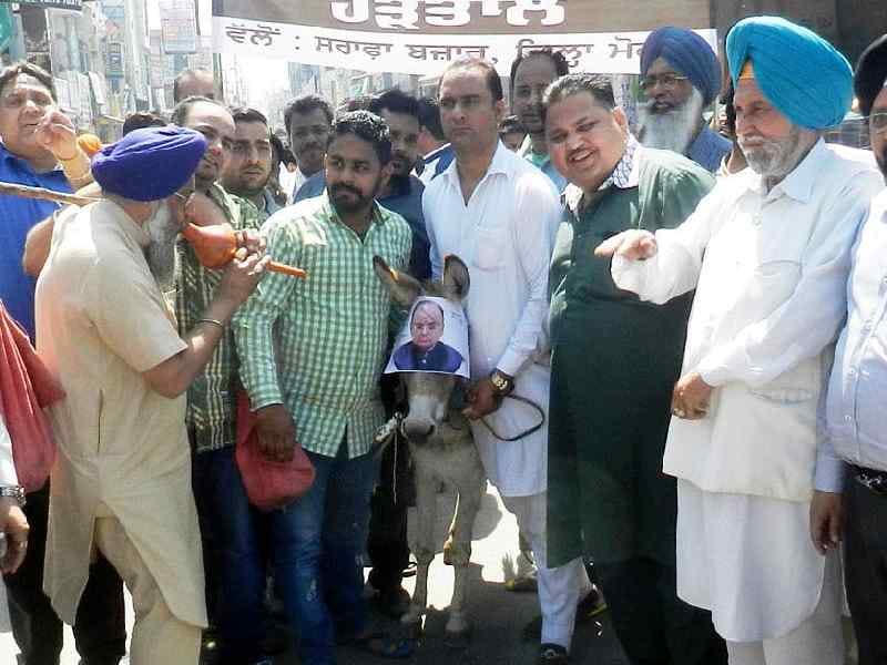 jewler protest, donkey, been, strike, moga