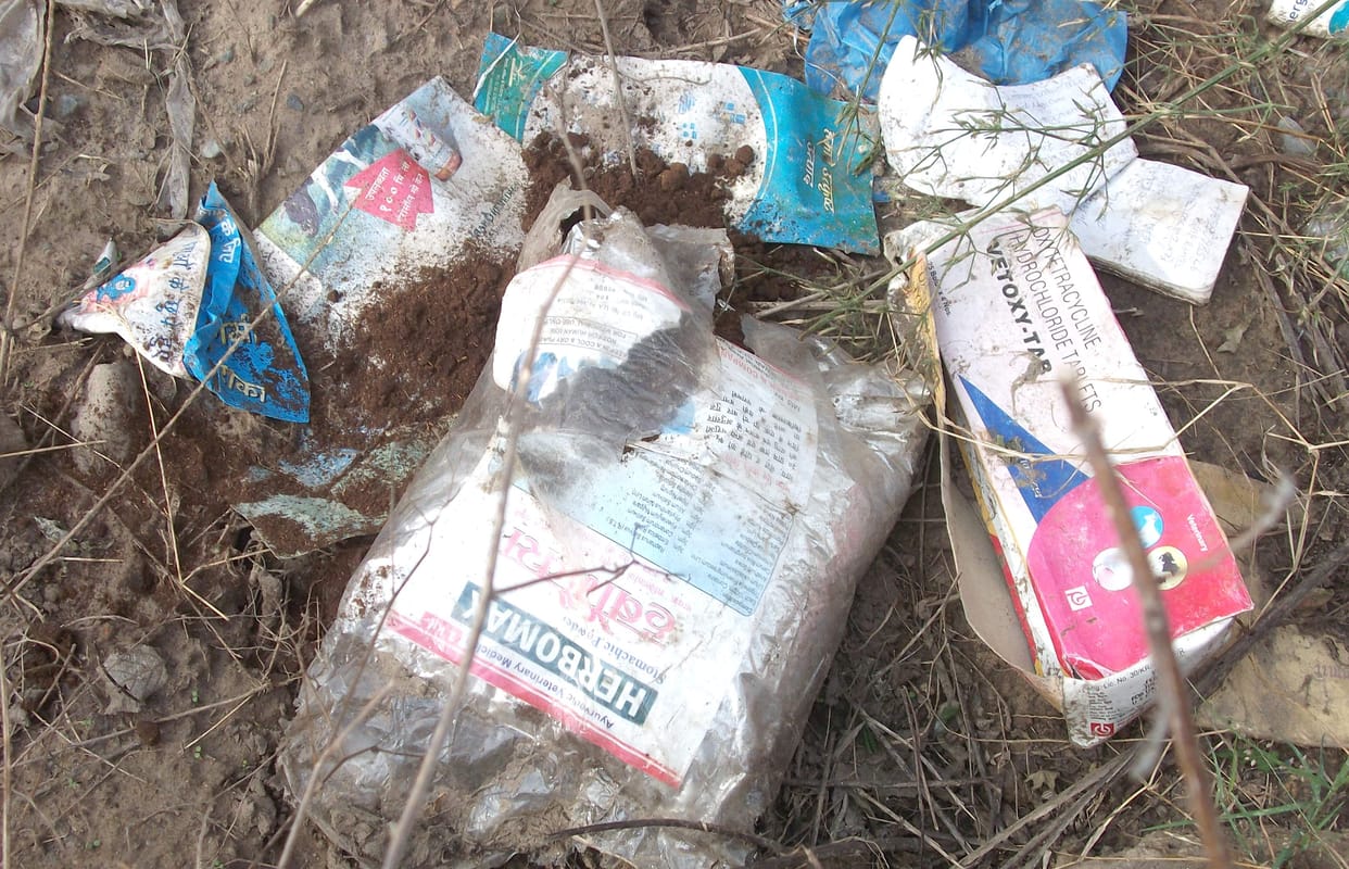 Woods has become the garbage dumping zone
