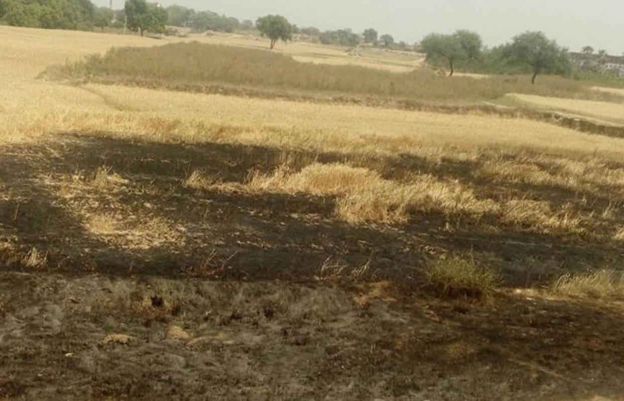 Field on fire, the ashes crop acres