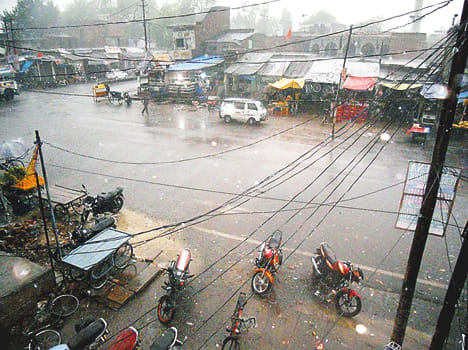 bad crop from rain
