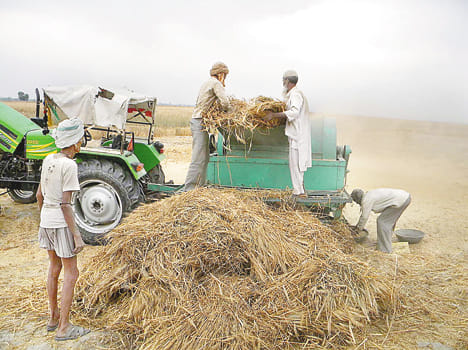 See the clouds in the sky cloudy farmers worried