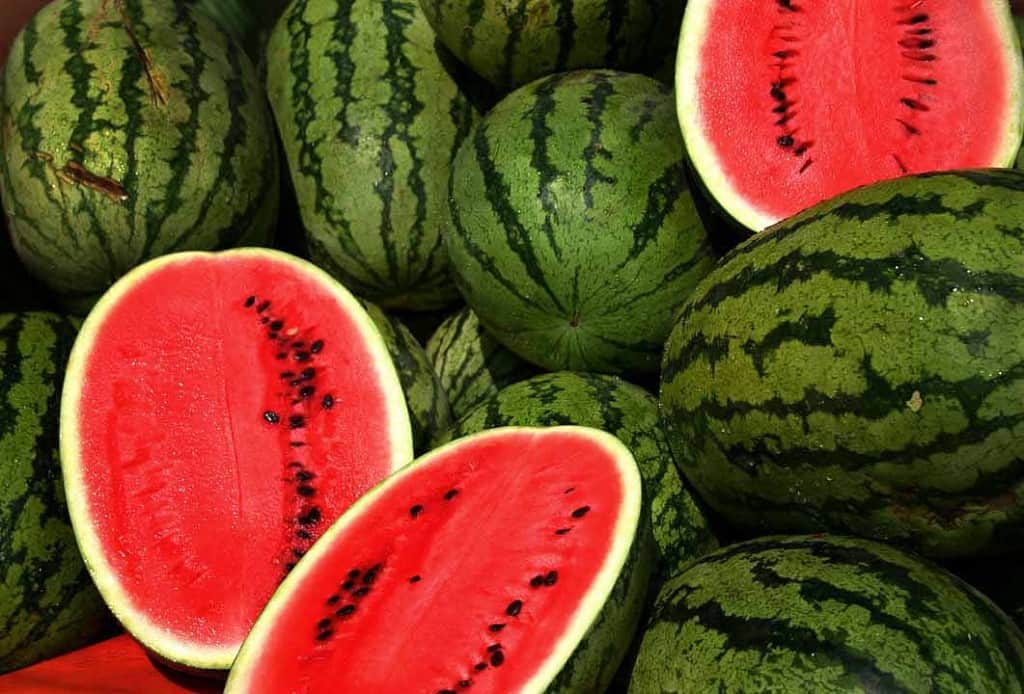summer diet plan foods for healthy lifestyle in hindi