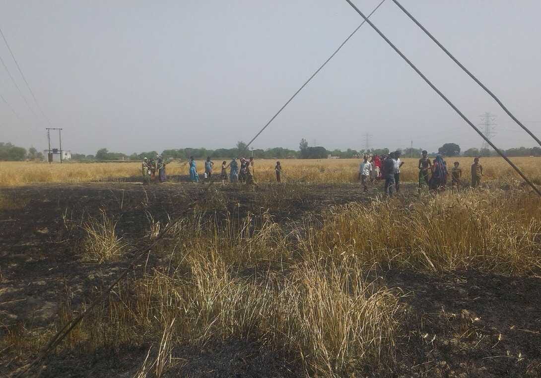 Bigha wheat crop destroyed by fire