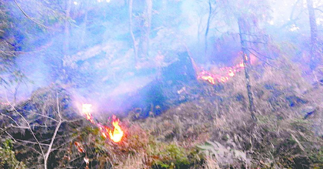 Gndhura fire erupted in the forest