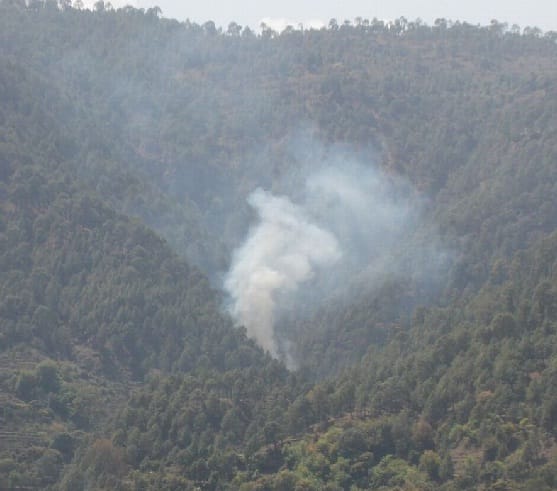 Many of the forest fire in Bageshwar