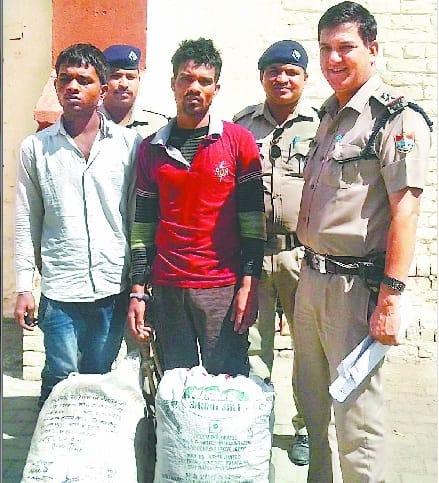  21 kg ganja caught